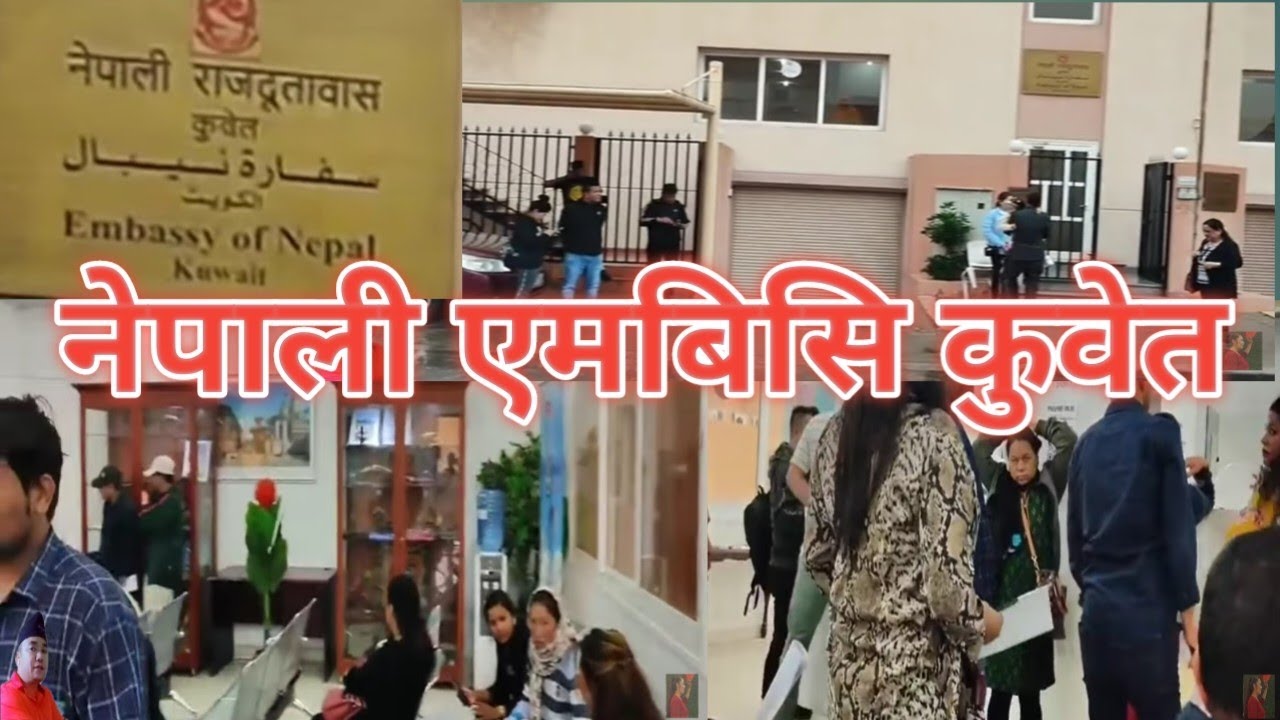 Bhorle || Kuwait Nepali embassy || processing method  passport renewal in Nepali embassy | Dhurbalo