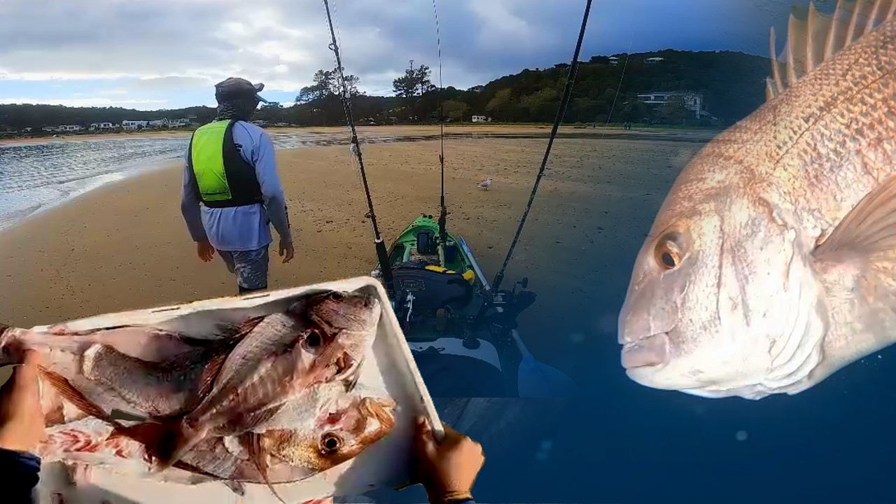 These Fish Don't Come EASILY! Catch And Cook