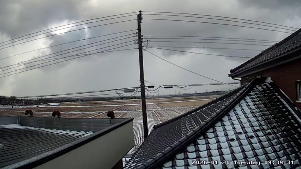 山形県酒田市下安町ライブカメラ Yamagata Sakata Live camera.World cam.