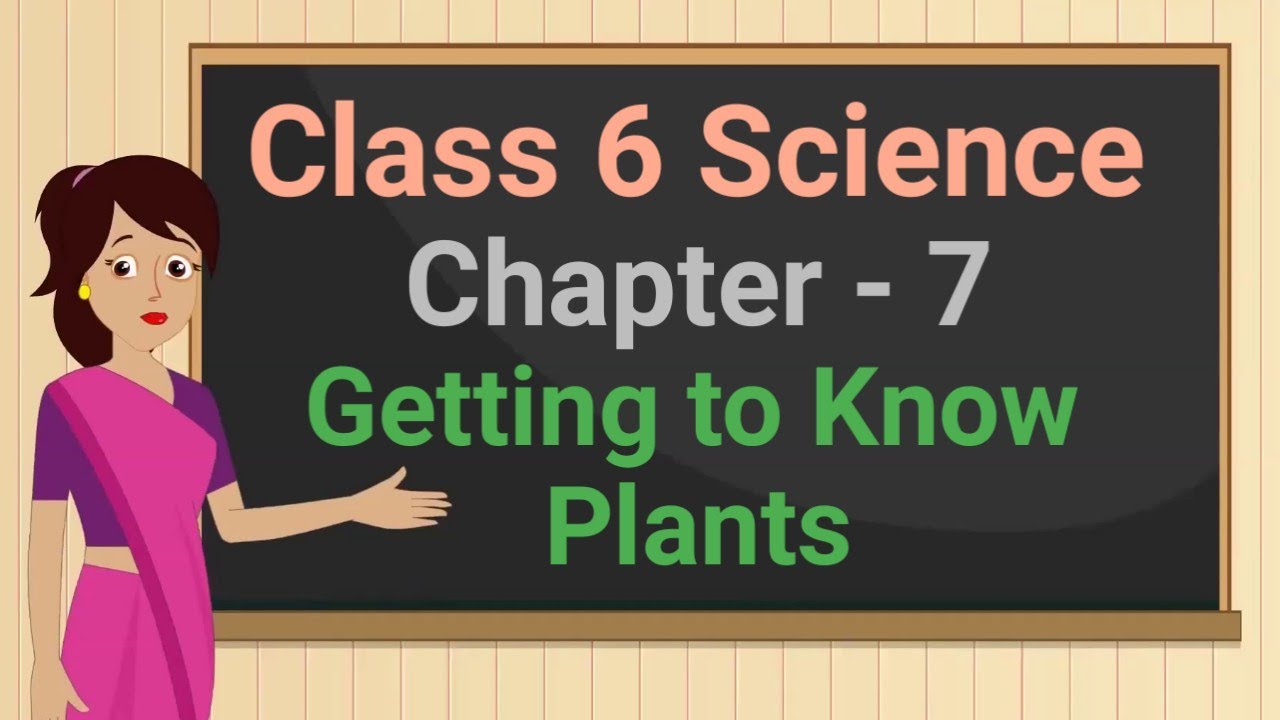 Class 6 Science Chapter 7 'Getting to Know Plants' (full chapter) cbse ncert