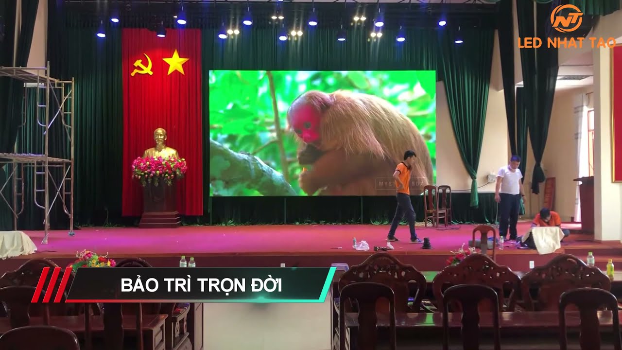 M&agrave;n h&igrave;nh LED P2 trong nh&agrave; - LEDNHATTAO.vn