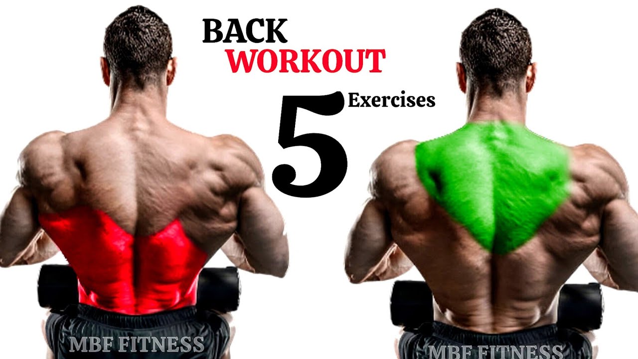 Best Back Workout | Build a Bigger, Stronger Back - Complete Back Workout