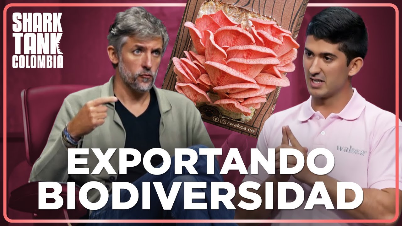 ¡El primer kit para cultivar este hongo exótico colombiano! | Shark Tank Colombia