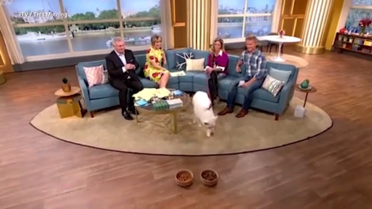 Woman Who Was Adamant Her Dog Was Vegetarian Proven Wrong On