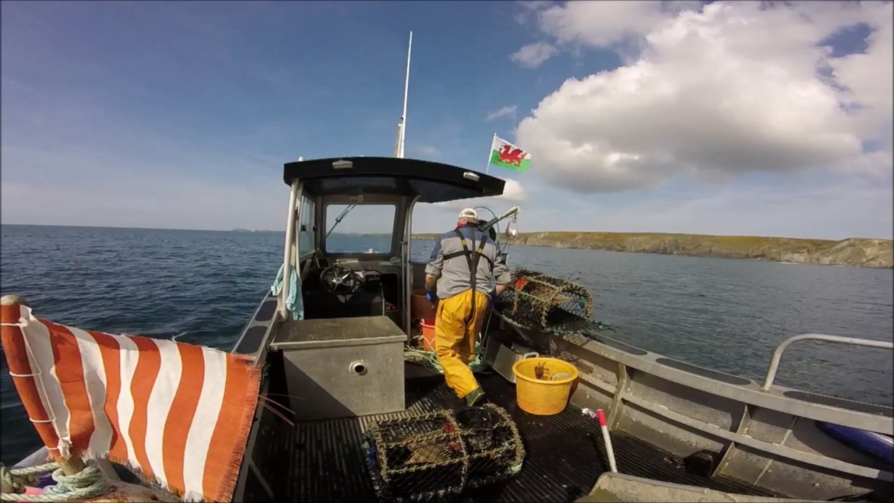 Fishing with Chris in Solva, Pembrokeshire