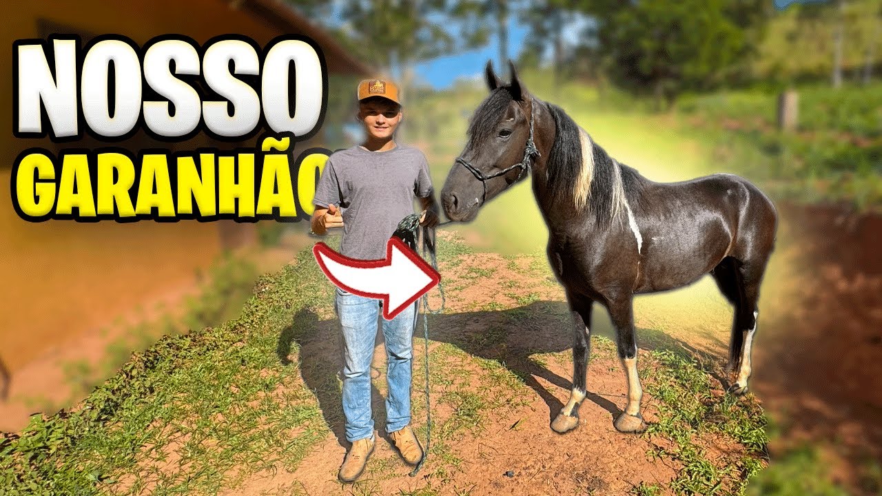 REVELANDO o NOVO GARANH&Atilde;O do CANAL !!