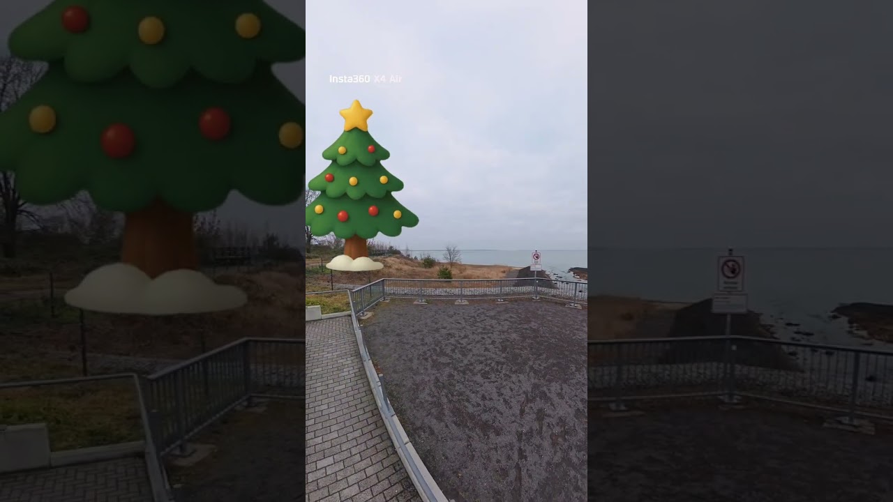 Cottbuser Ostsee 13.12.25 Nachmittags 