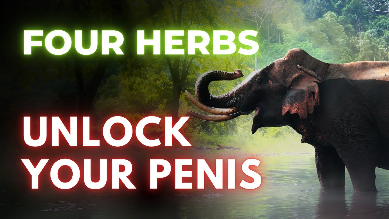 Improve Circulation And Intimacy After 60 with These SECRET Herbs | Healthy Aging