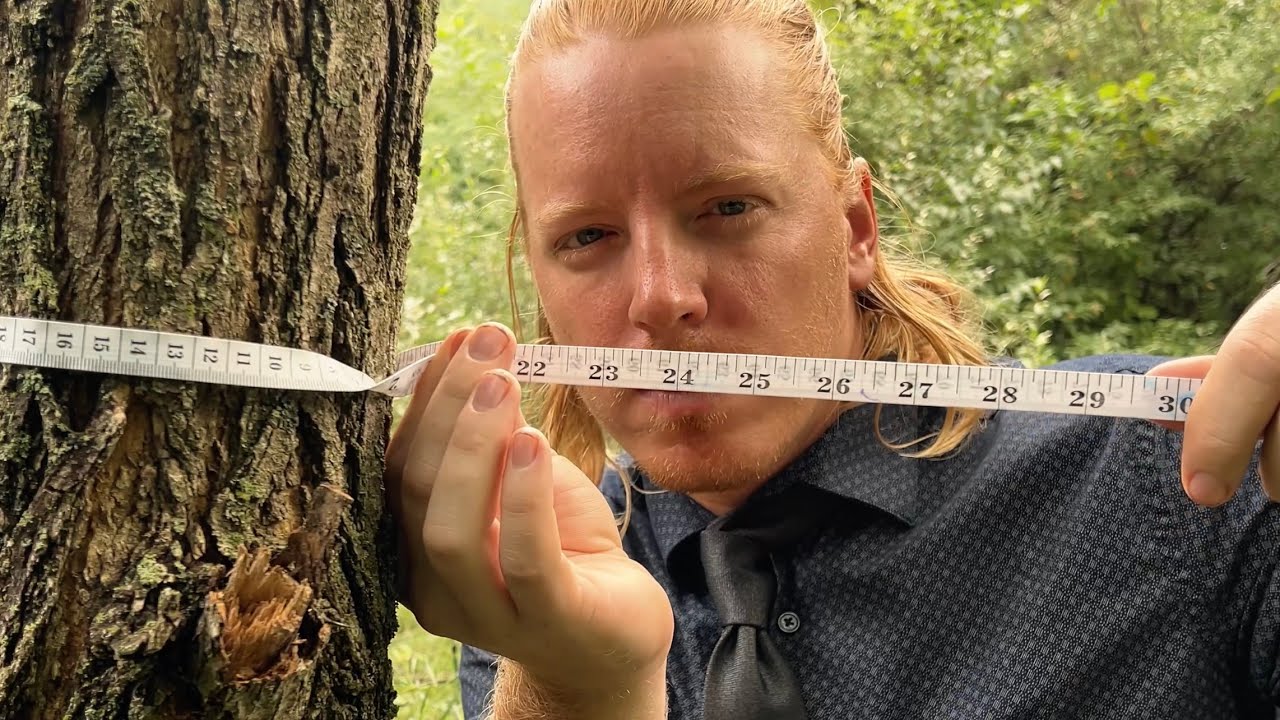 The Tree Tailor 🪡 An ASMR Roleplay