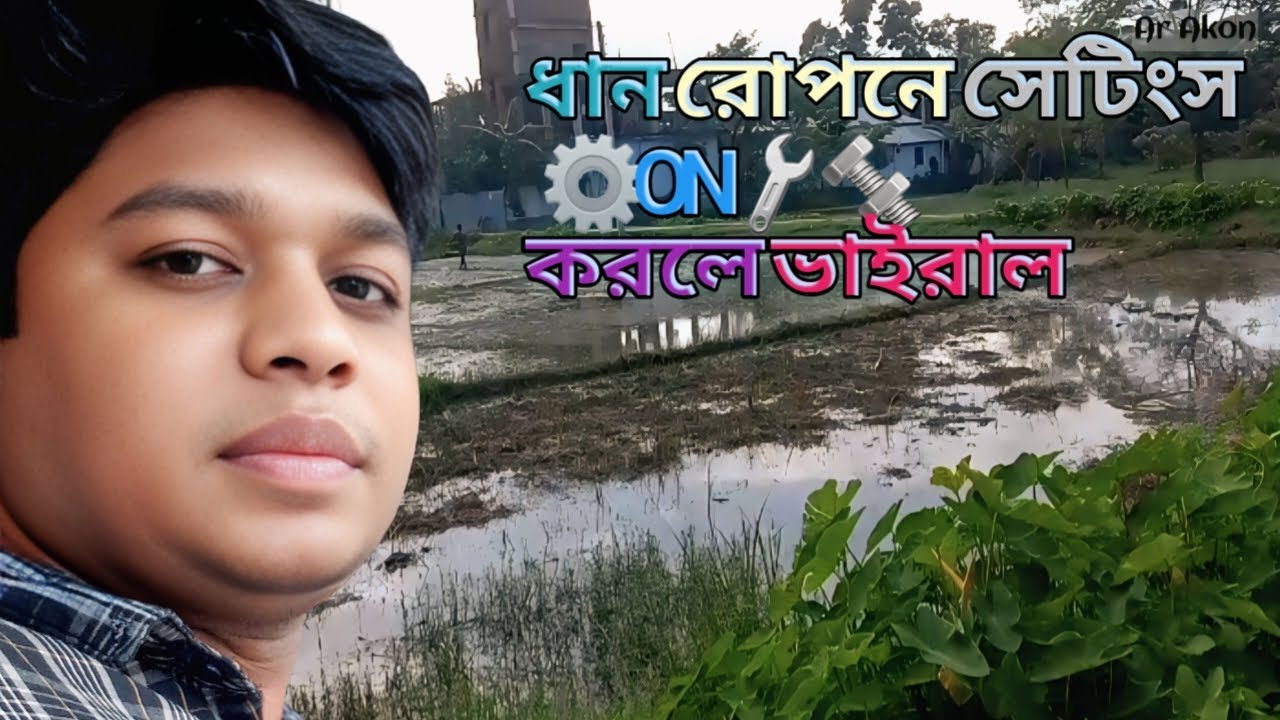 ধান রোপণ এবং কিছু গ্রামীন চিত্র || Ar Akon