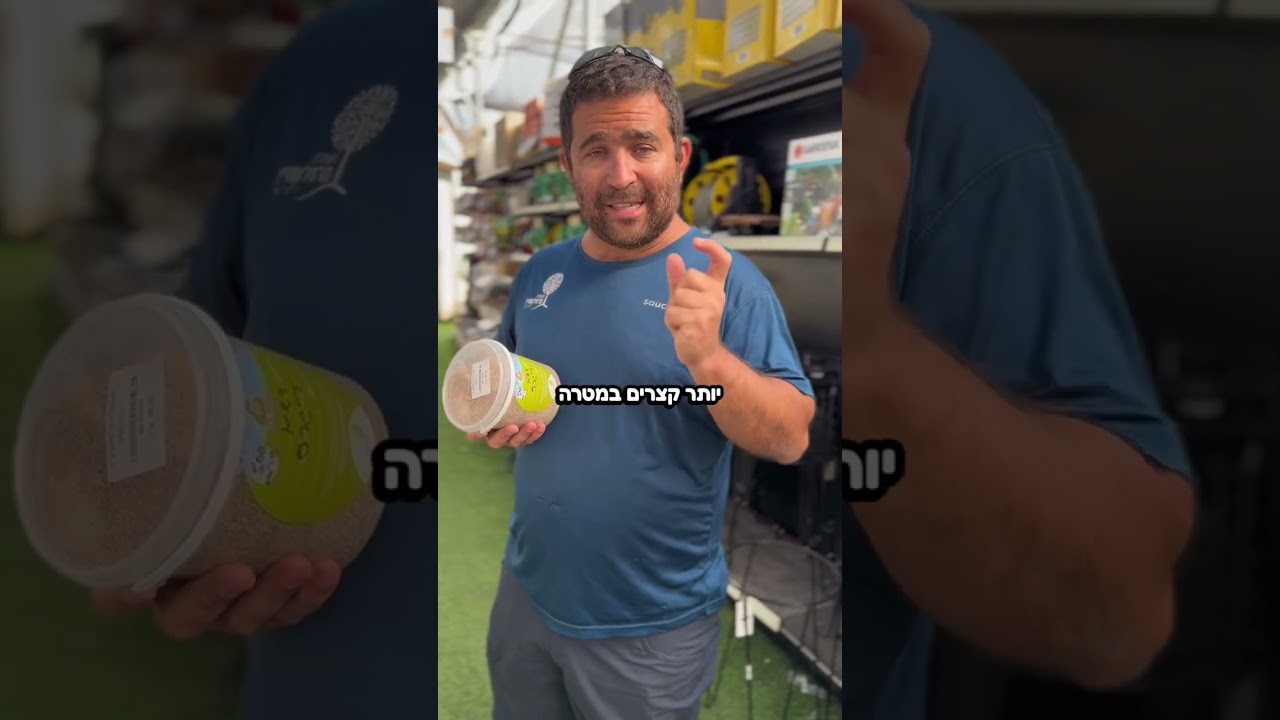 רוצים דשא ירוק גם בחורף? זה לגמרי אפשרי!!!