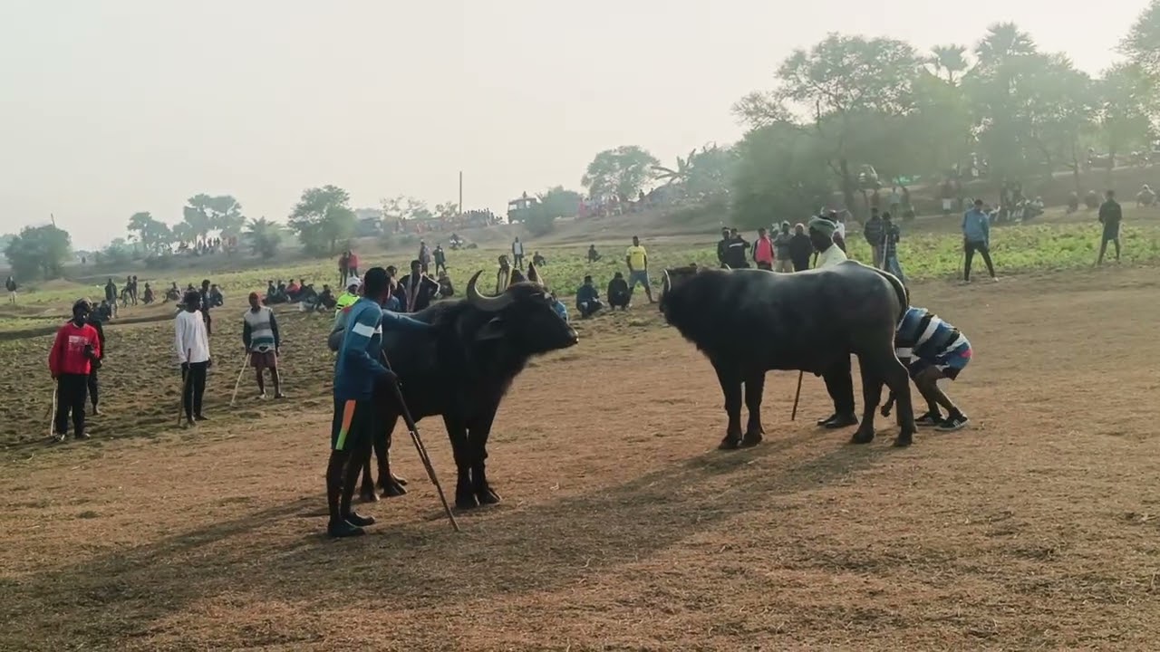 At lowgaw kada ropok video 2026 kolbari Vs asndanga jabrjsat bayar ropok video 