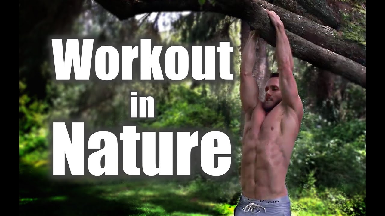 Nature Workout | Using Rocks, Logs & Trees