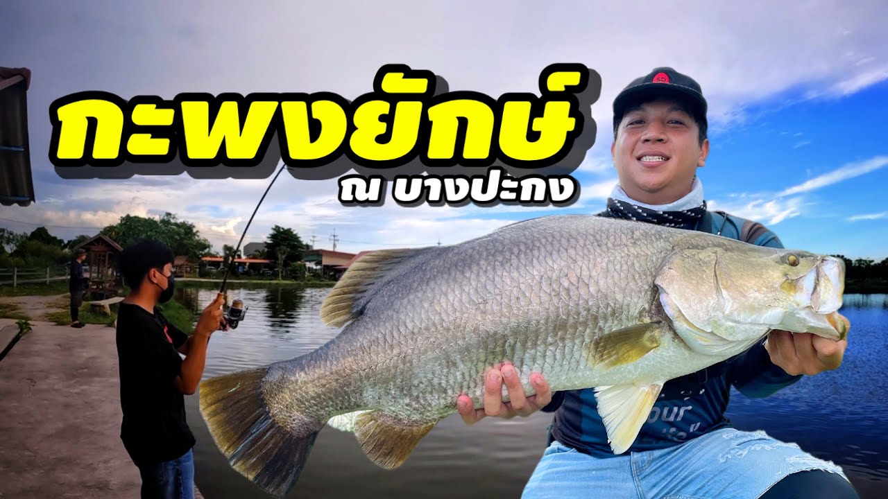 ล่าบอสหาปลากะพงยักษ์กัน ด้วย รอก Luvias ลั่นสนั่นบ่อ ใคร ๆ ก็หันมอง