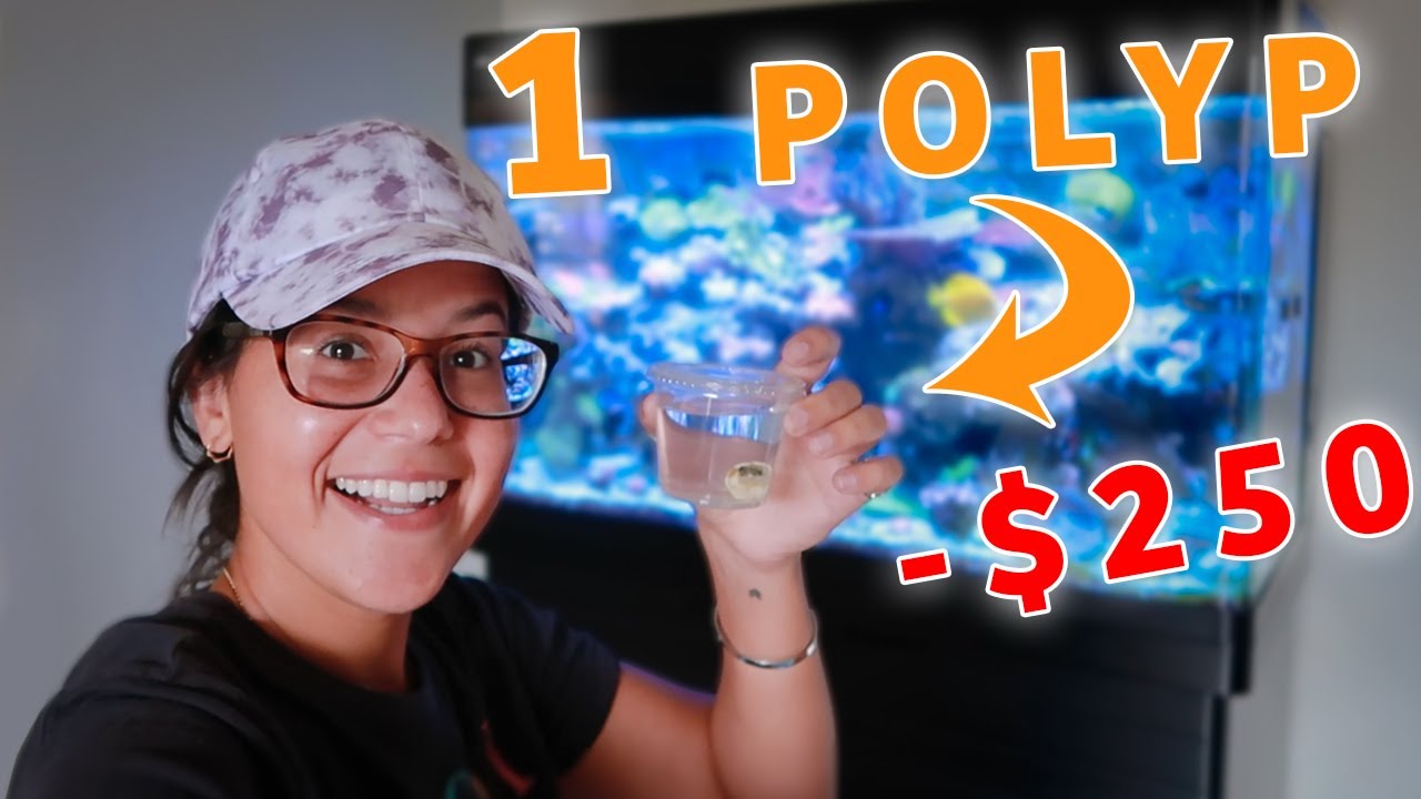 I Won a HOLY GRAIL Zoa for $20!!
