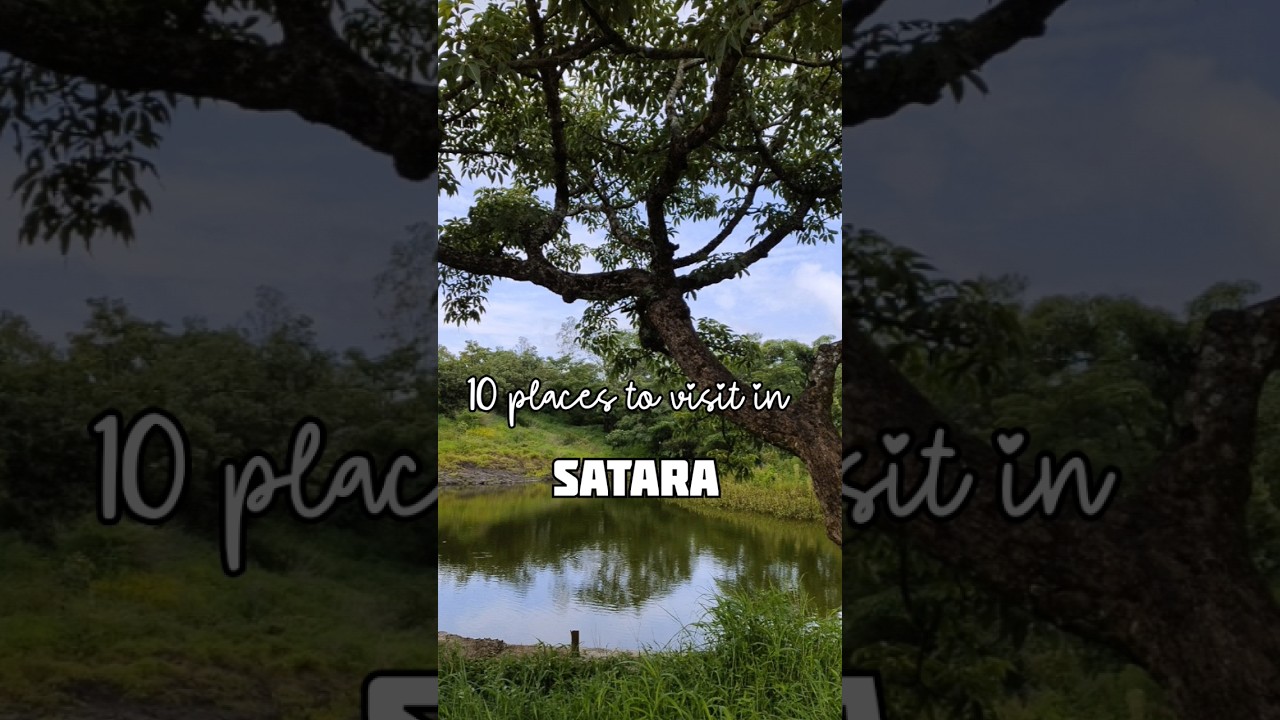10 places to visit in Satara 💚🍂 #satara #maharashtra #thoseghar #kaasplateau #youtubeshorts #travel