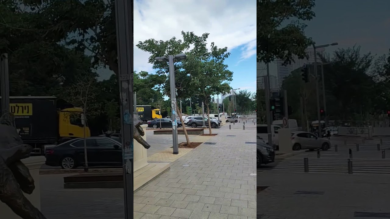 😼😻 Tel Aviv Streets &Cat Art.הפתעה ברחוב תל אביבי😻👍