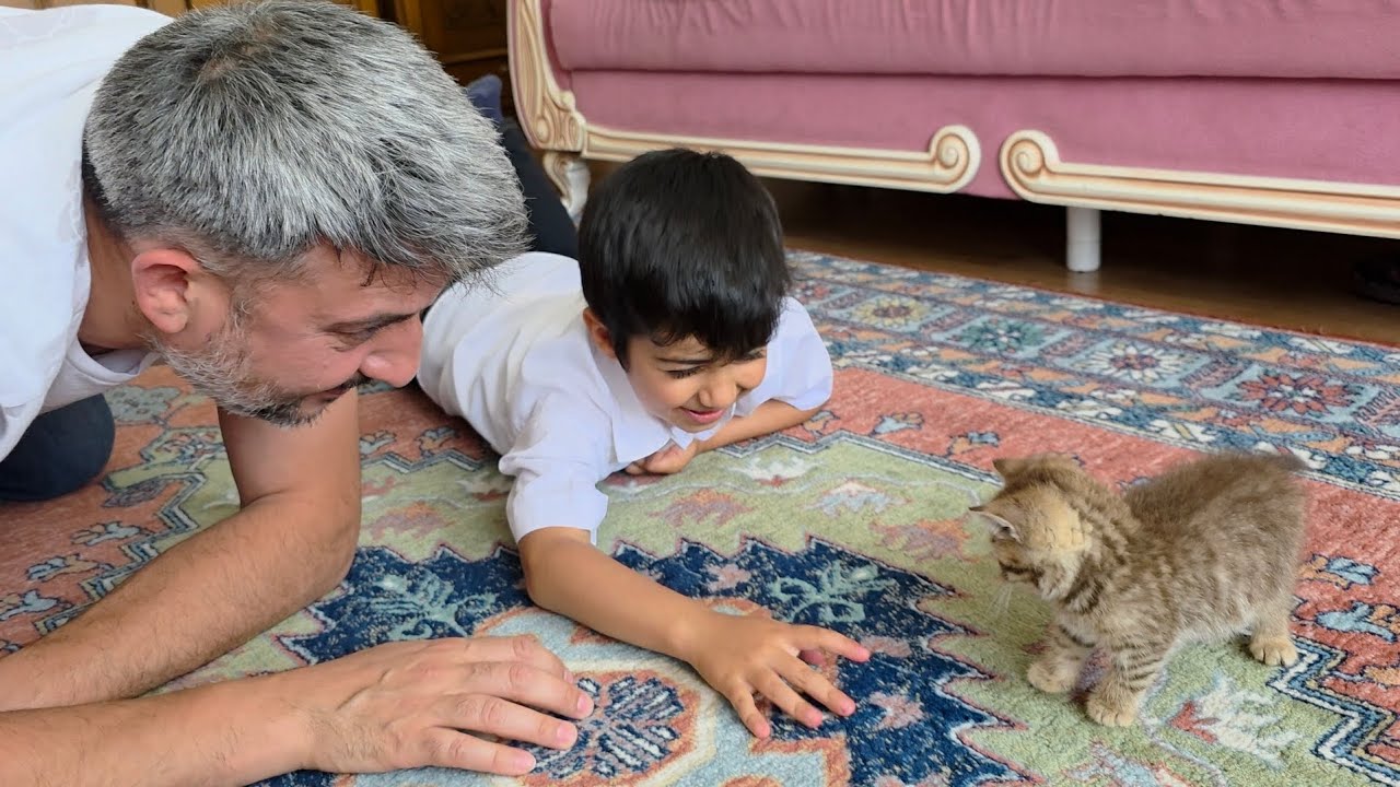 Ertuğrul ve Baba yeni kedileri ile oyun #keşfet #cat #love #reels