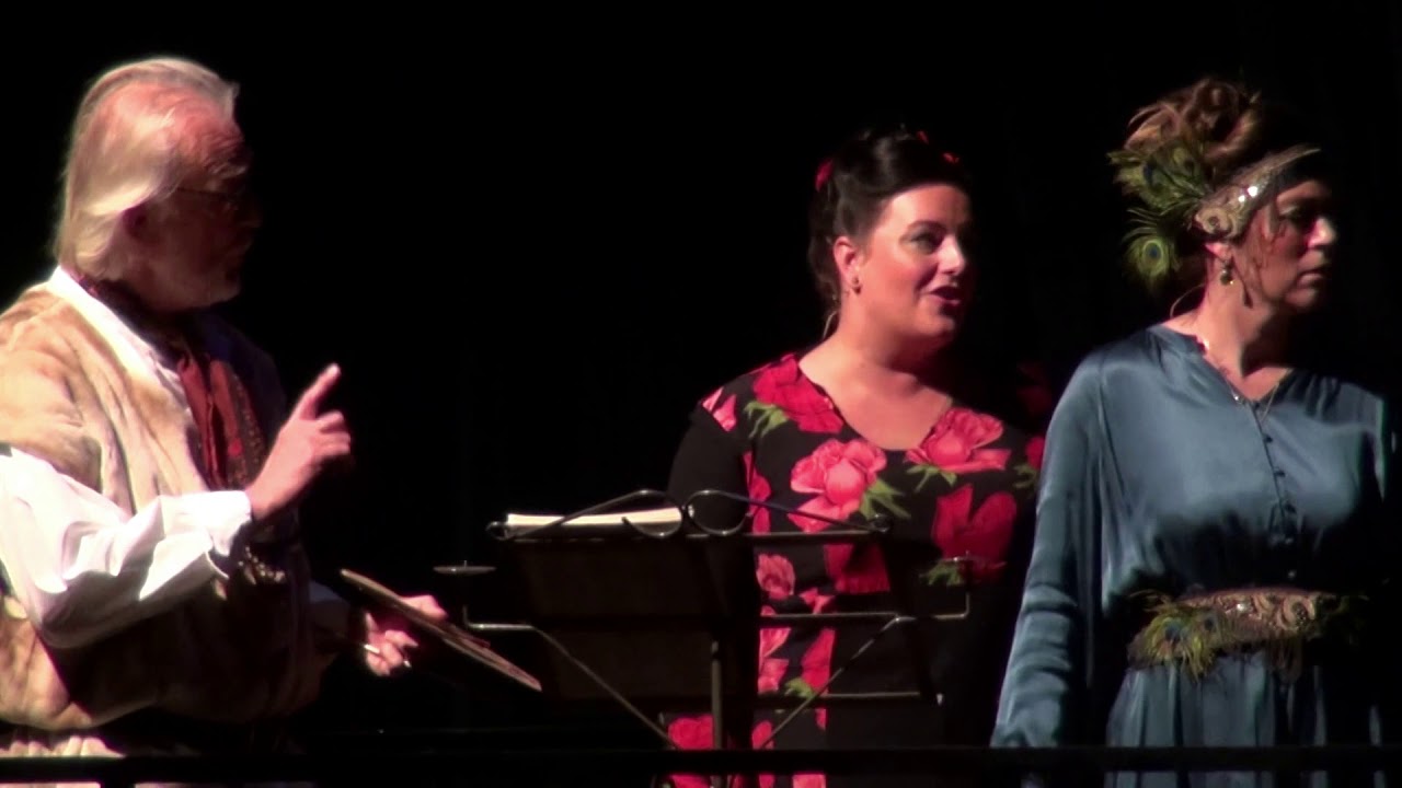 Uitvoering Adel Verplicht Theaterkoor Voice Sensation 12-11-2019