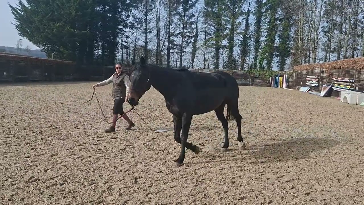 Focus and Bend with Skye