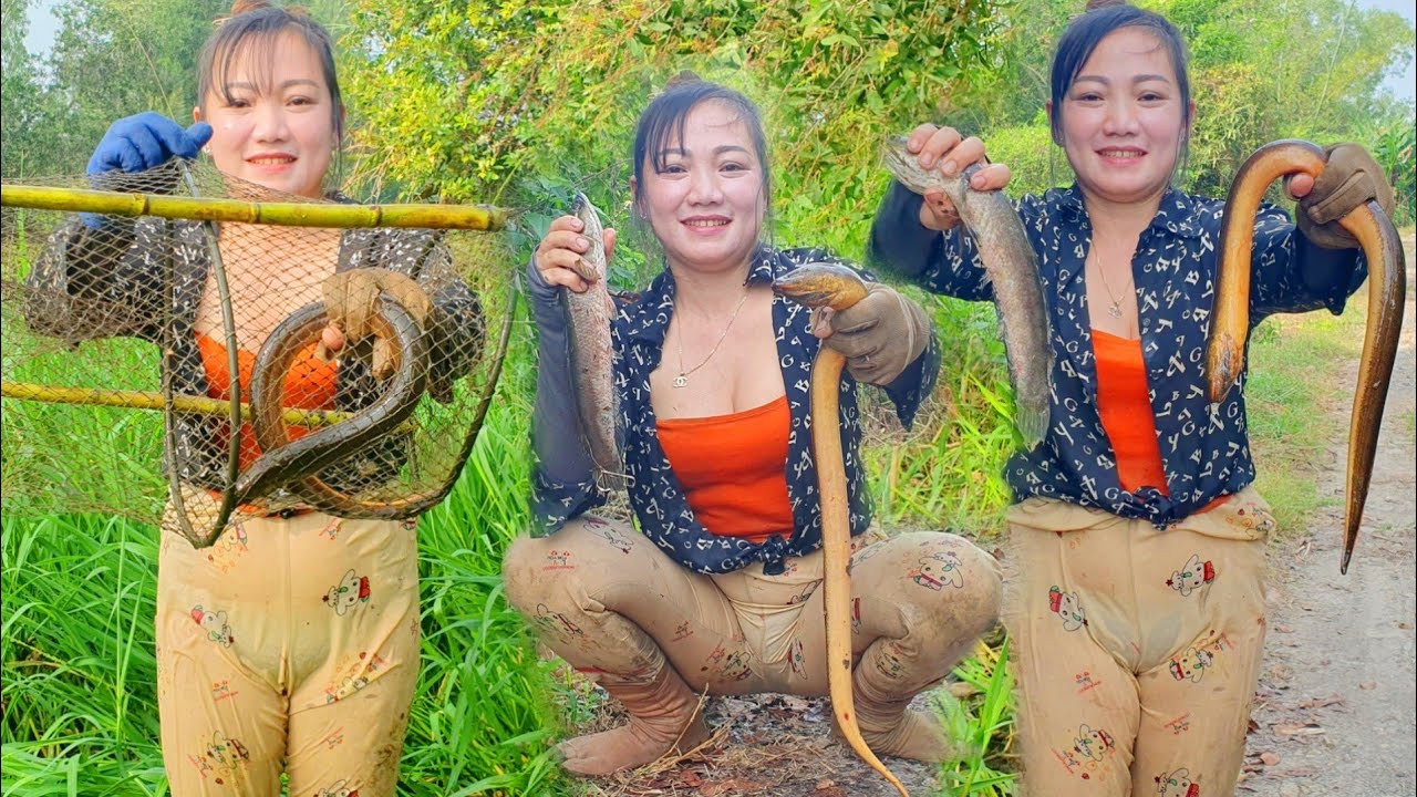 Thăm lờ cá lóc dính lươn chà bá làm hết cả hồn