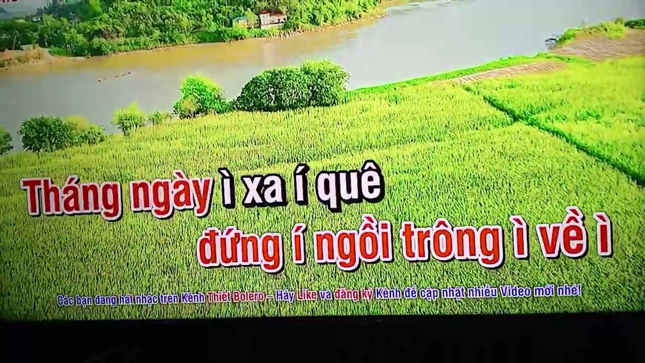 Ngọc Mai 66 hát chèo tình cha Nghĩa mẹ 