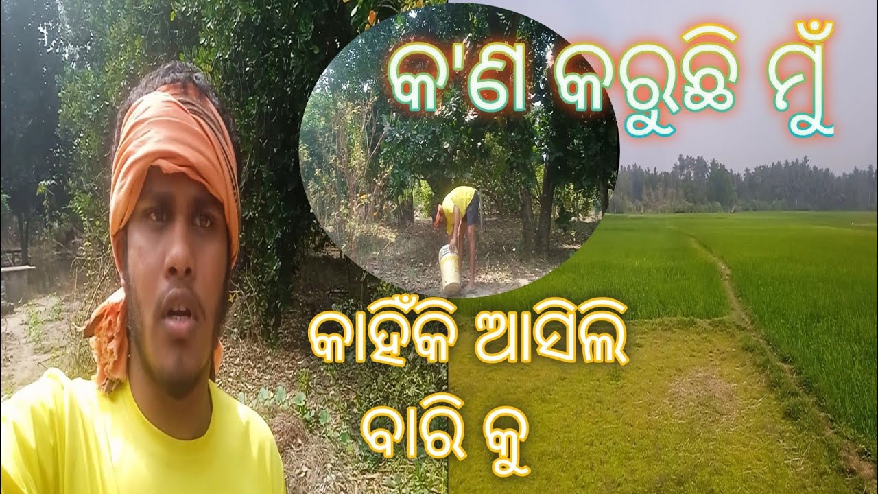 ବାରି କୁ ଆସିଲି କ'ଣ କରିବାକୁ#lifestyle#odiavolg #vlog