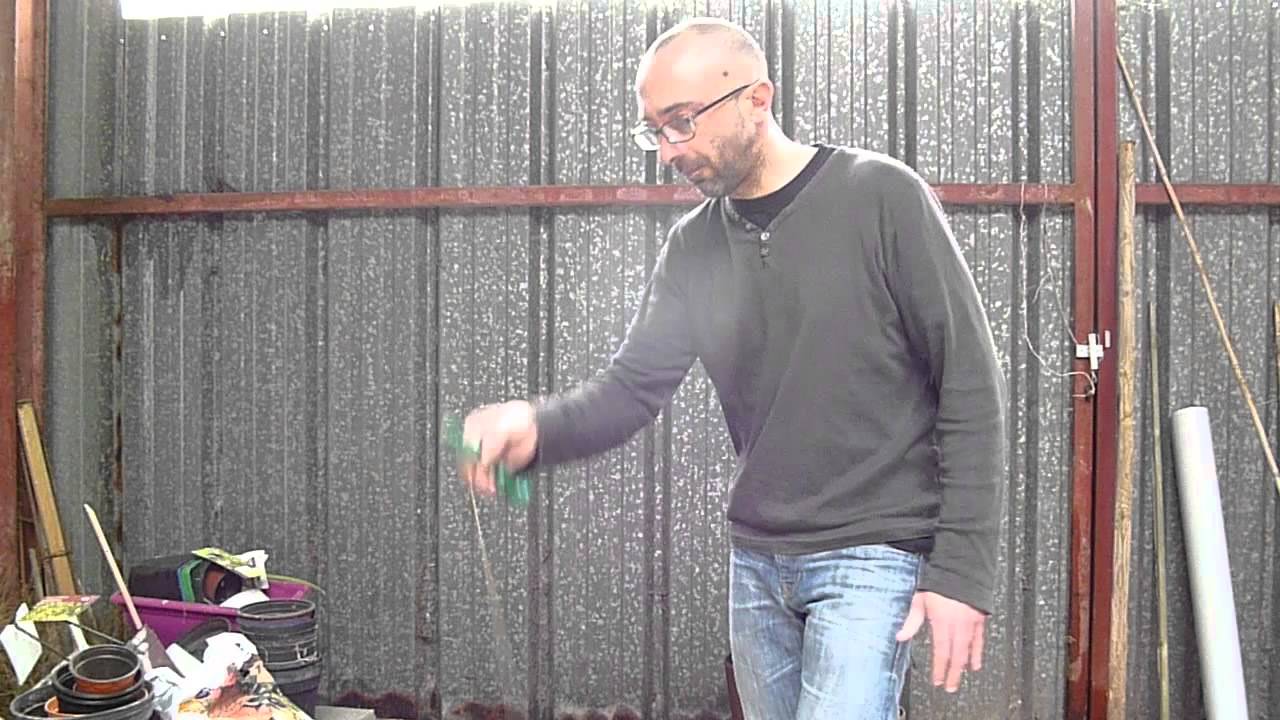Champion du monde de bilboquet, mon oeil ! toujours mieux!