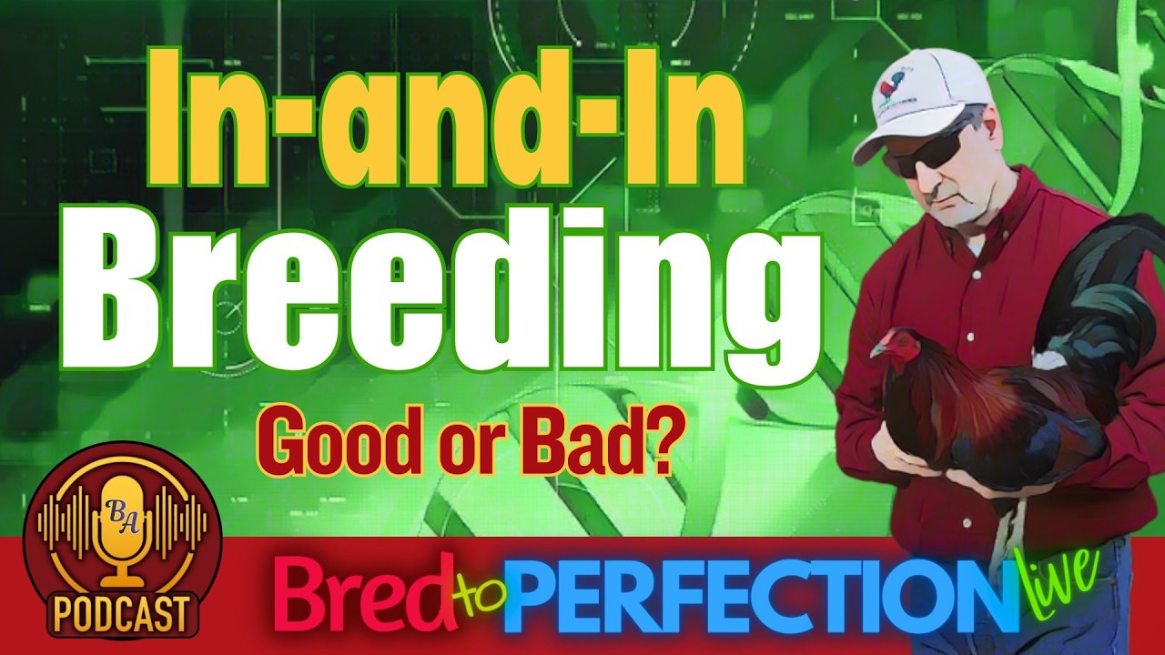 Ep170 - In-and-In Breeding: Balancing Purity and Diversity