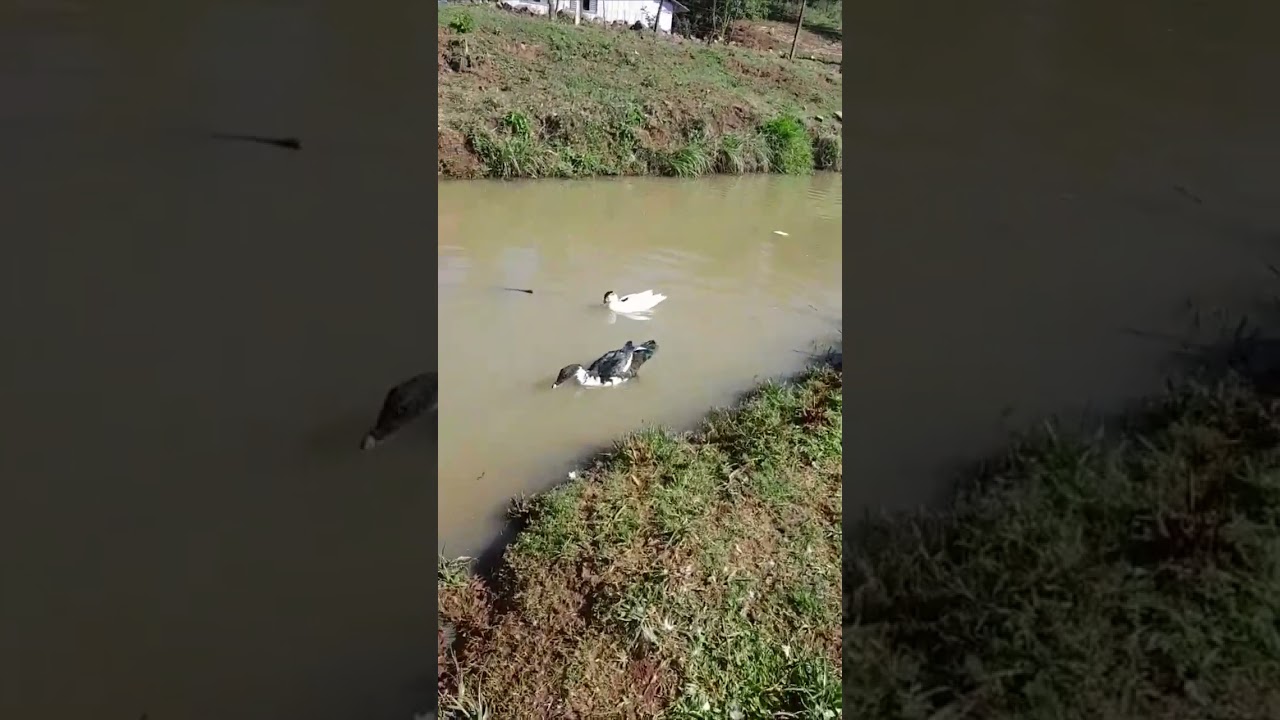 #Lanositio no interior