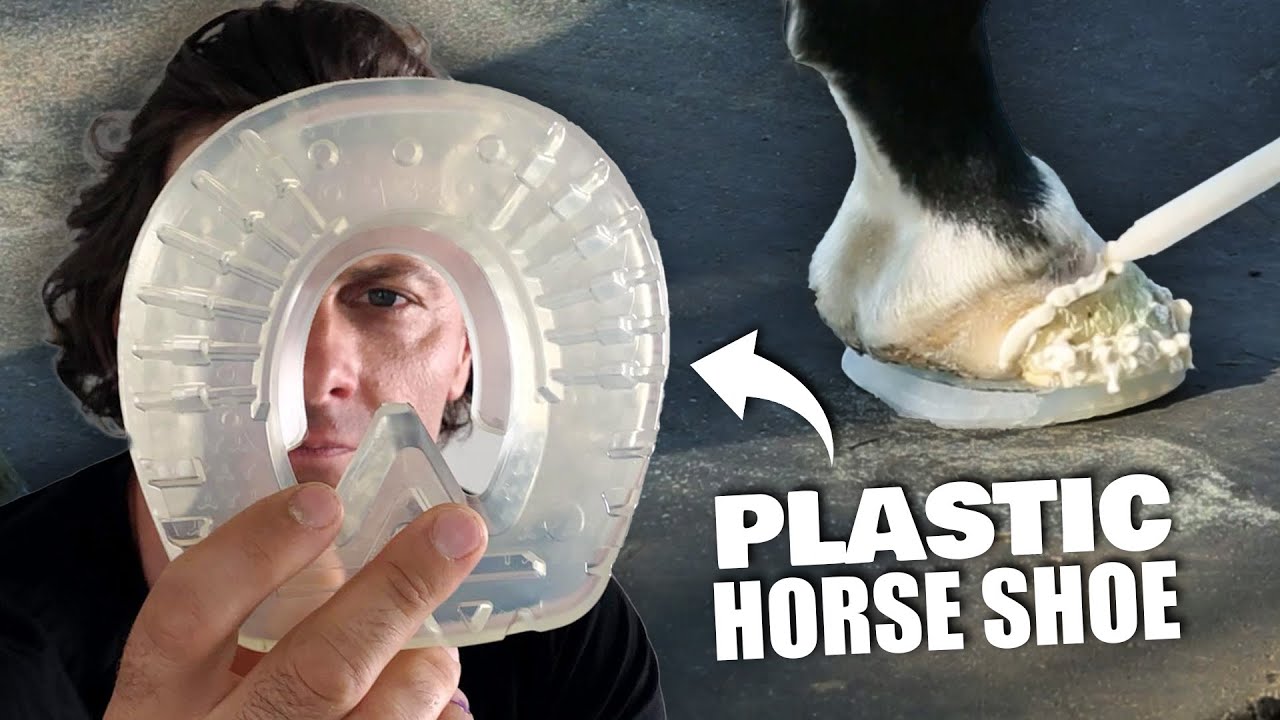 Horse Therapy Shoe Repair | EasyShoe Versa Grip Glue Horse Shoe - A Plastic Glue On Horse Shoe