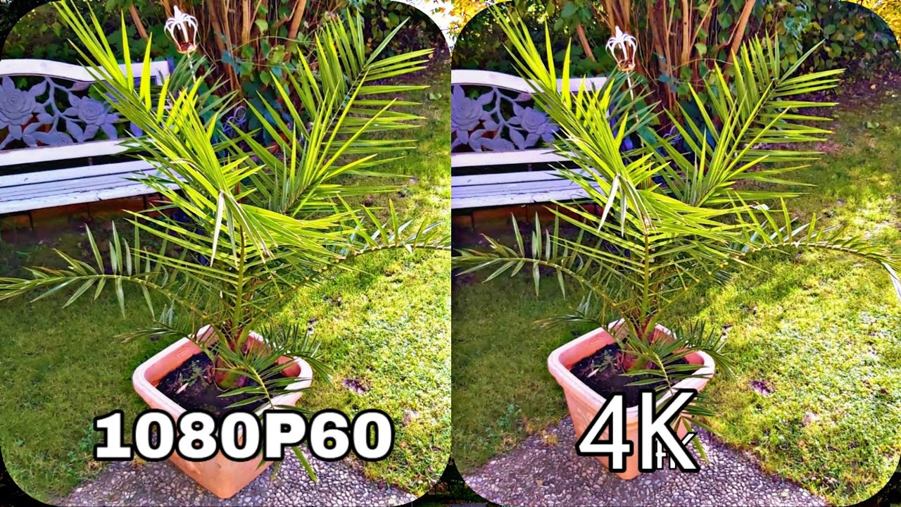 1080P60 vs 4K! Samsung Galaxy A70 Kameraqualit&auml;t