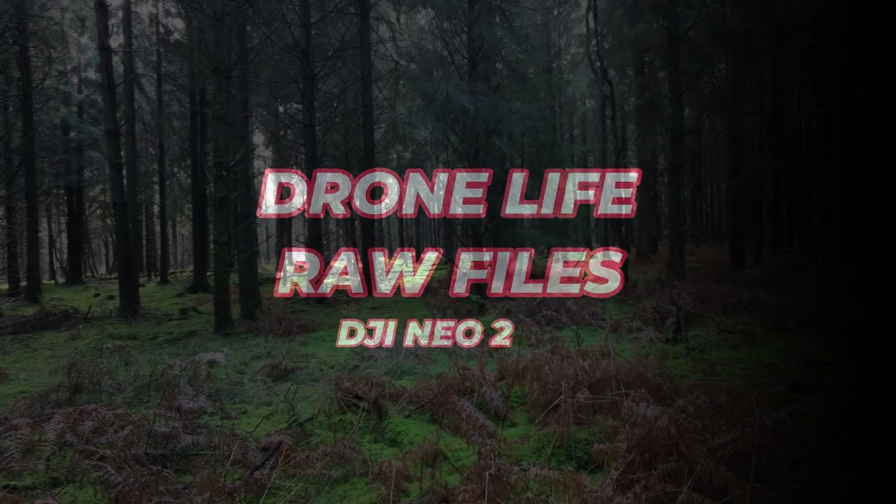 DRONE LIFE RAW / 4TH FEBRUARY 2026 / SAVERNAKE FOREST
