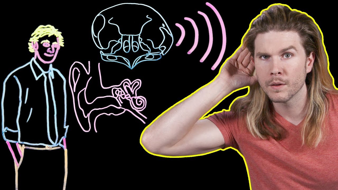 What Does the Quietest Place on Earth Sound Like?