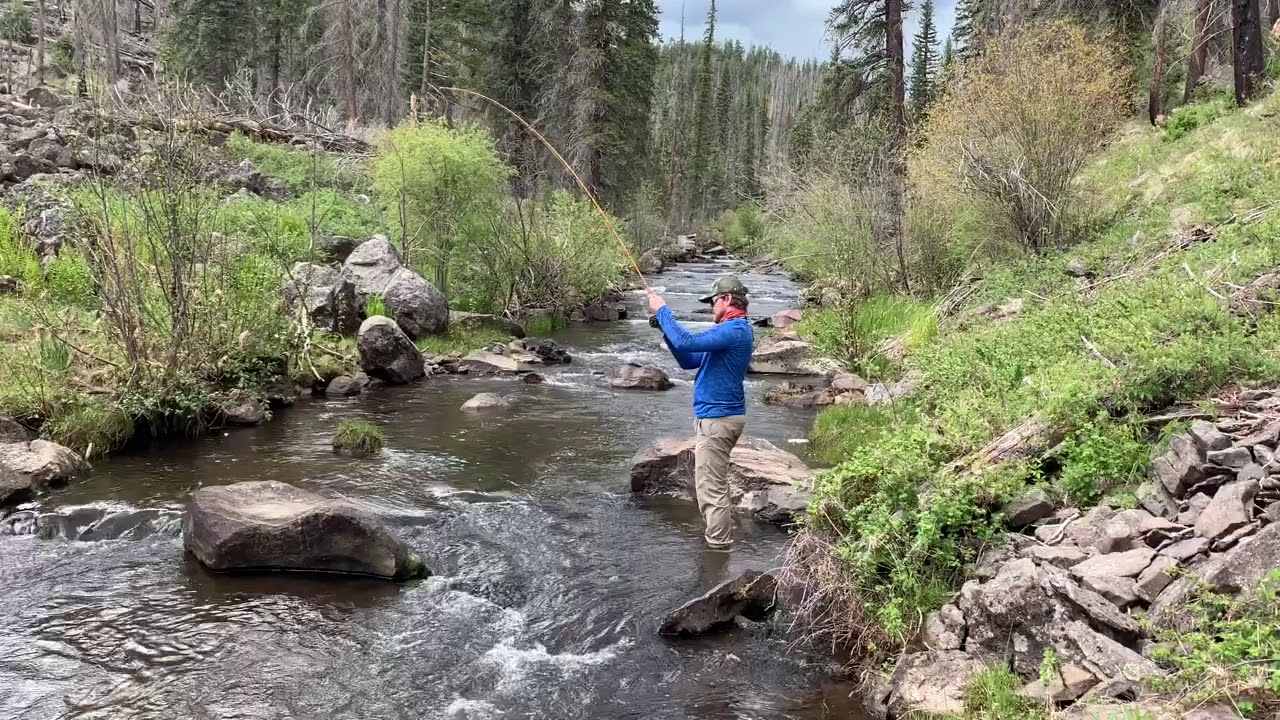 Fly Fishing In The White Mountains Of Arizona