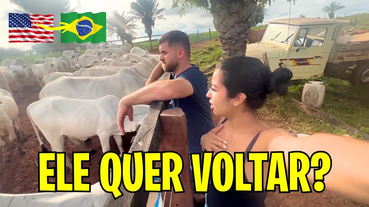 INVESTIR NO BRASIL GANHANDO EM DÓLAR: A VERDADE SOBRE COMPRAR GADO E FAZENDA EM 2026