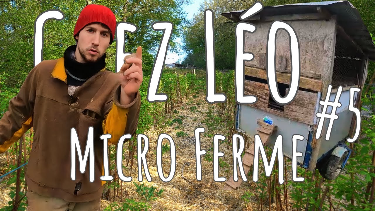 #5 :  Microferme en permaculture avec : @Léo Drevet. #permaculture