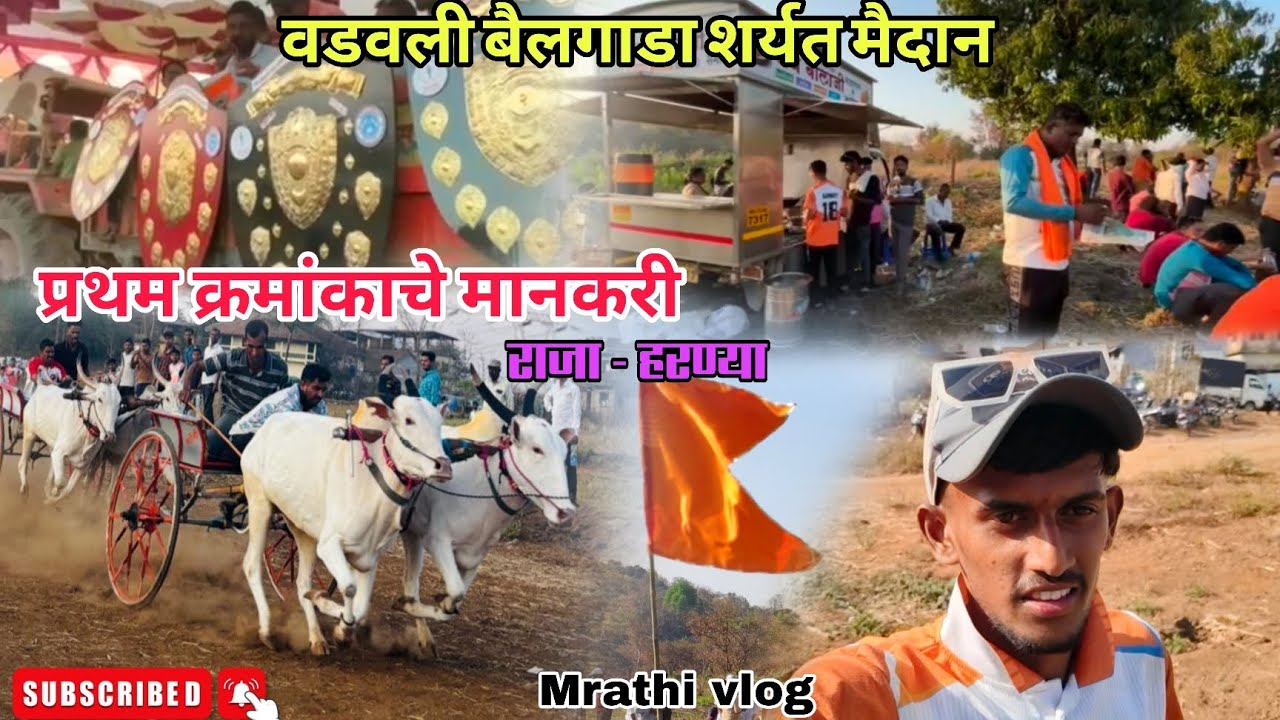 माणगाव तालुक्यातील वडवली बैलगाडा शर्यत १/३/२०२६ नाद एकच बैलगाडा शर्यत 