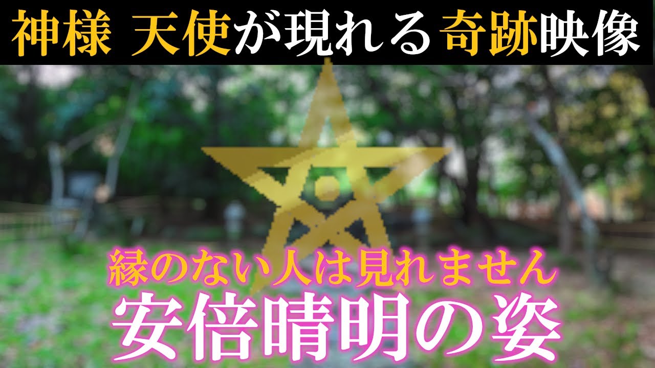 ⚠️神回※神様、天使が現れる奇跡の映像。お姿が見えたら奇跡が起こります。もし逃したら二度とありません｜安倍晴明・冠纓神社遠隔参拝349