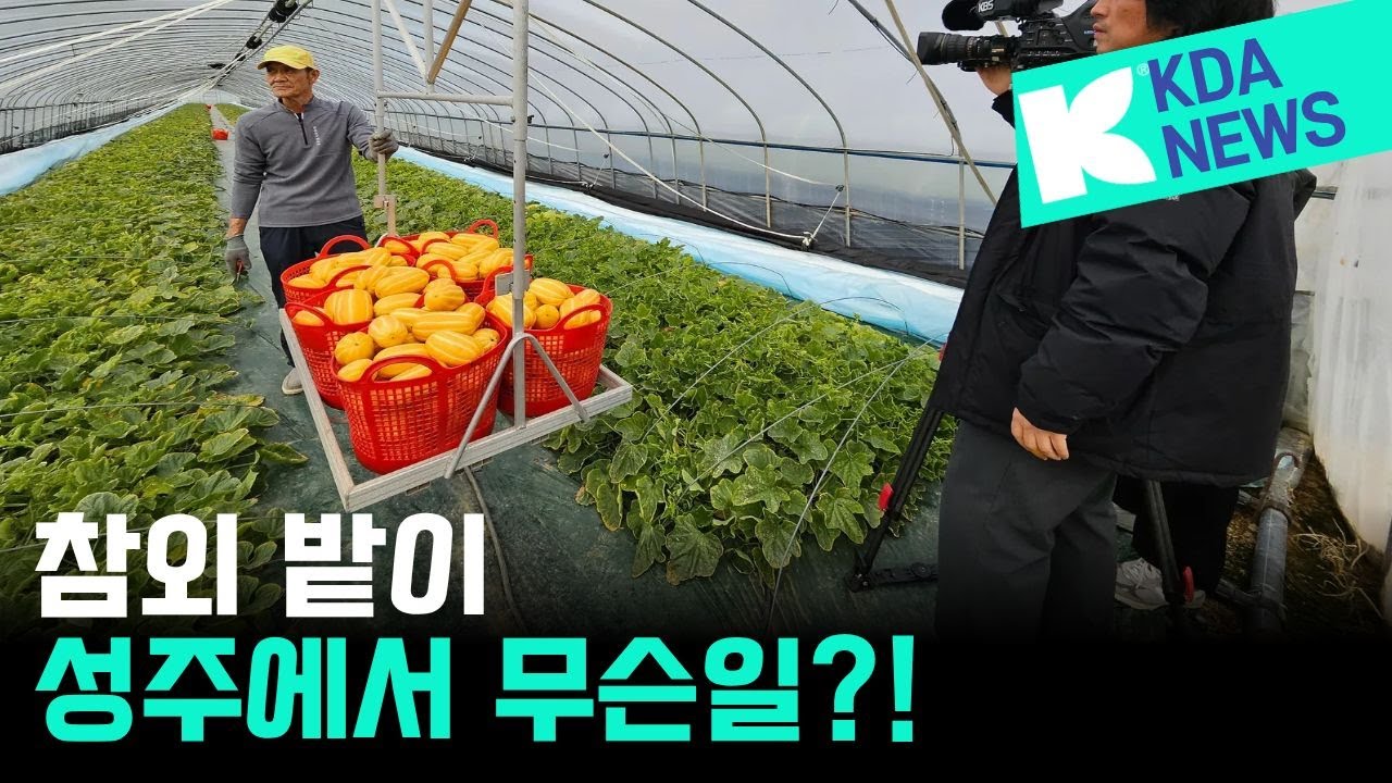 2026년 성주군 참외 밭이 변하고 있다?! #클라스만 #클라스만데일만 #프렉션피트 #토양개량 #토양교체