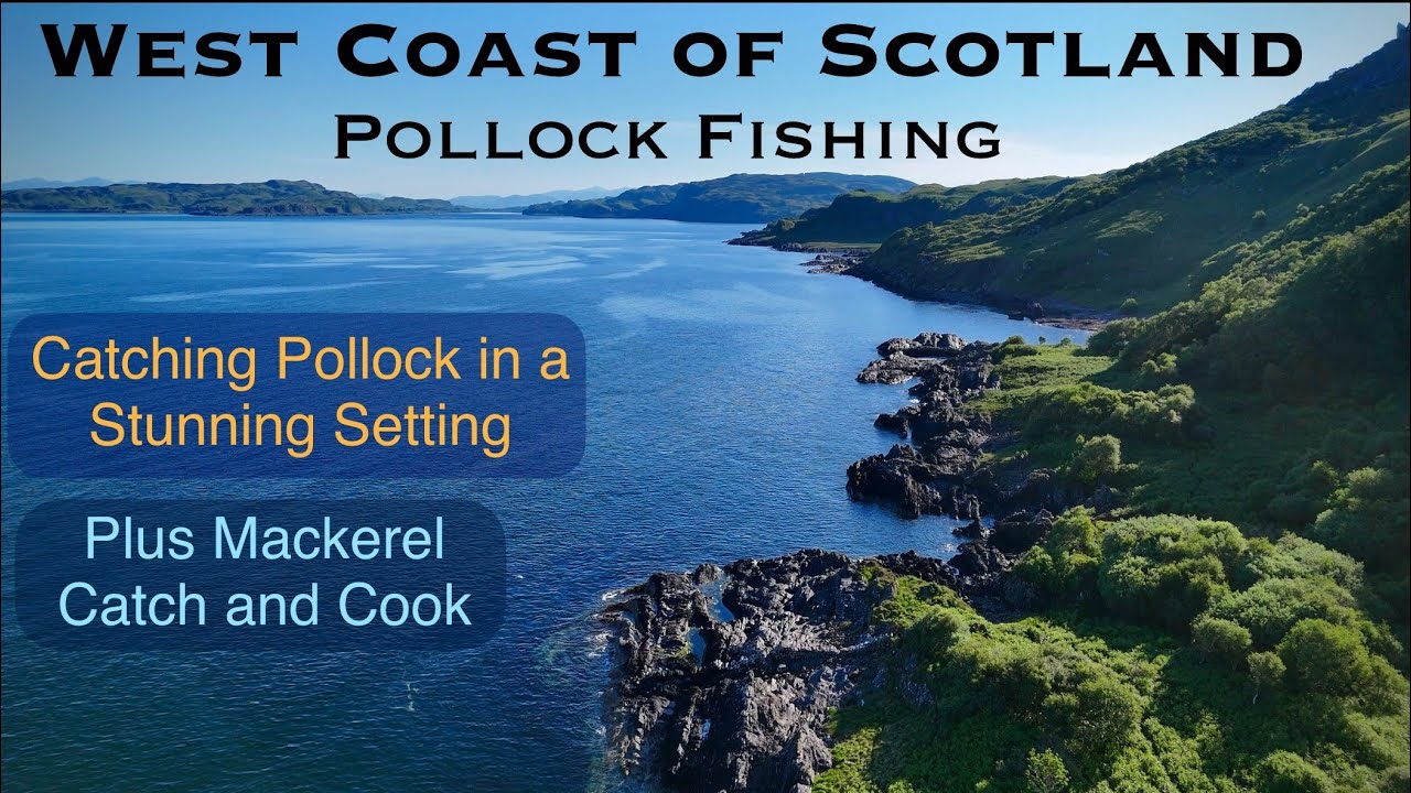 Sea Fishing Scotland - West Coast Pollock on Lures + Mackerel Catch & Cook