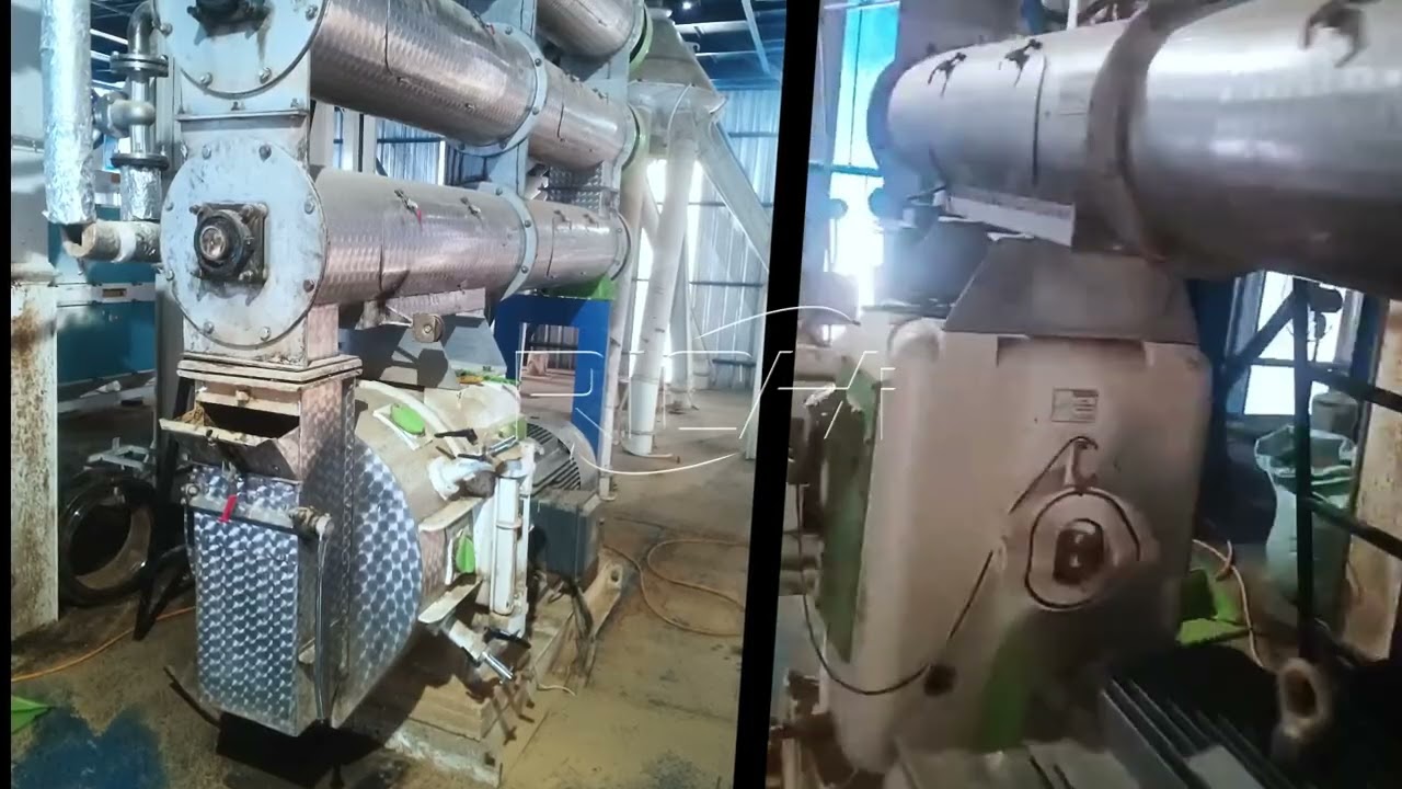 Shrimp Feed Pellet Production Line | RICHI Aquafeed Project