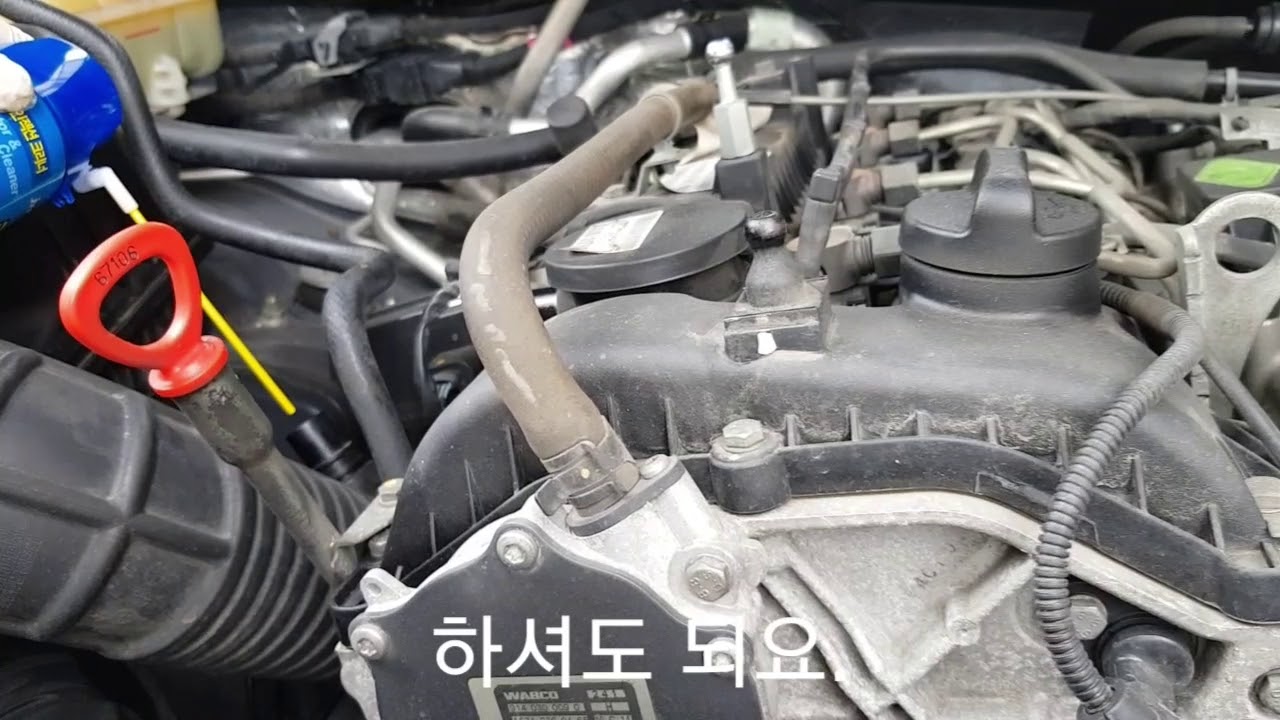 디젤차 오너라면 꼭! 알아야할 흡기 크리닝