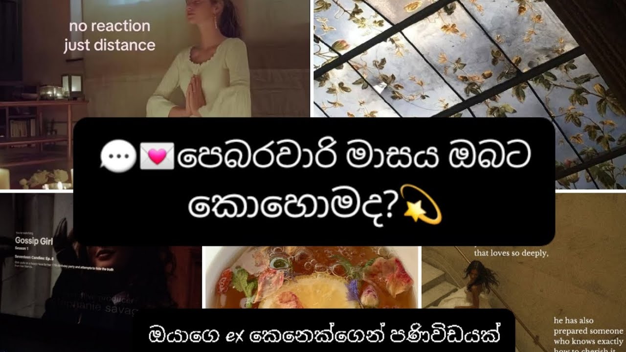 💬💌පෙබරවාරි මාසය ඔබට කොහොමද?💫| ඔයාගේ ex කෙනෙක්ගෙන් පණිවිඩයක්| collective reading sinhala|timeless 