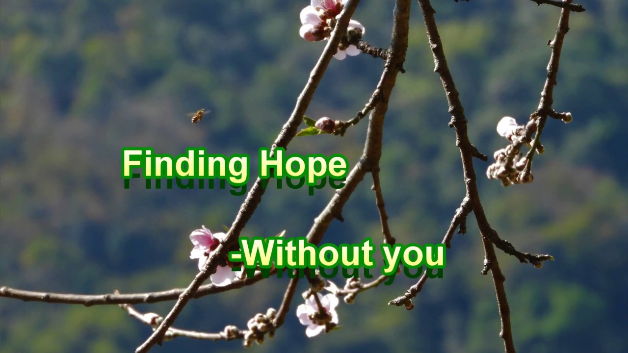 Finding Hope - Without You (Lyric Video) feat. Holly Drummond