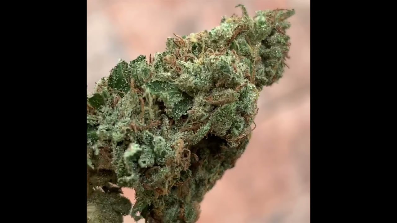 QUALITY JAMAICAN WEED