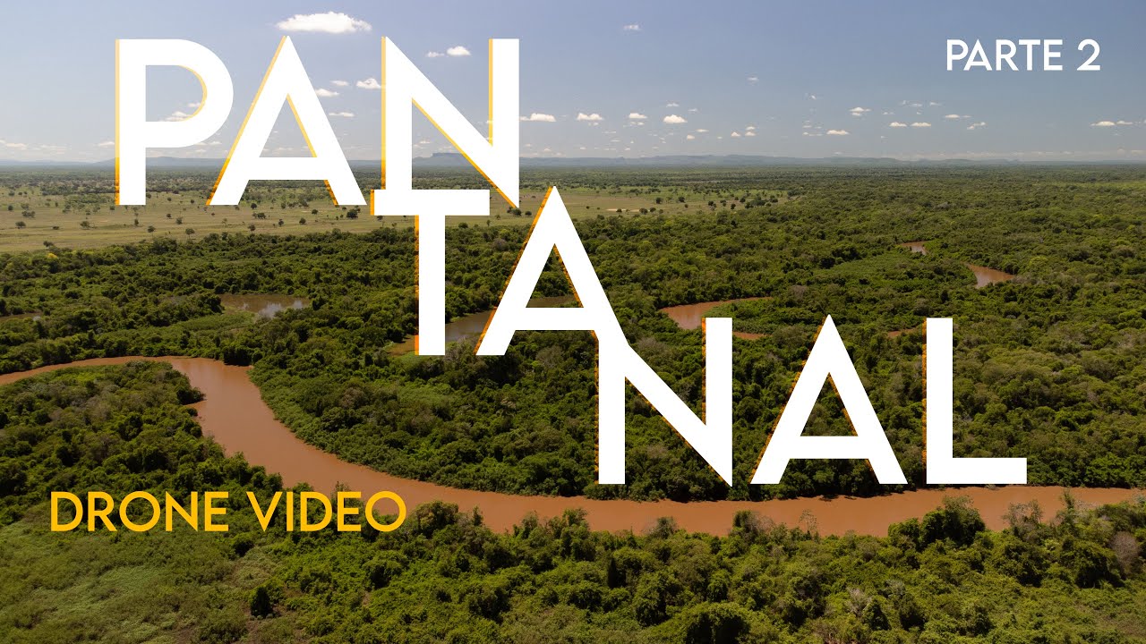 PANTANAL - MATO GROSSO DO SUL - DRONE VIDEO - parte 2