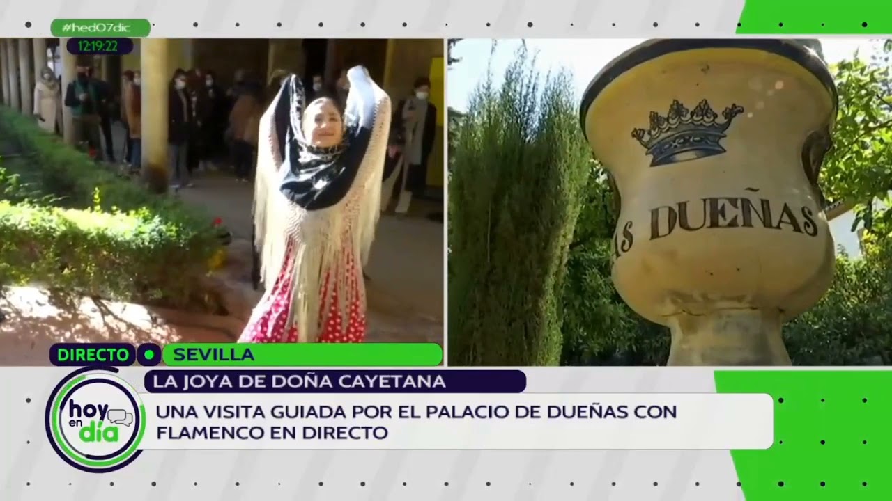 Visita guiada con flamenco en directo en el Grandioso Palacio de las Dueñas Sevilla