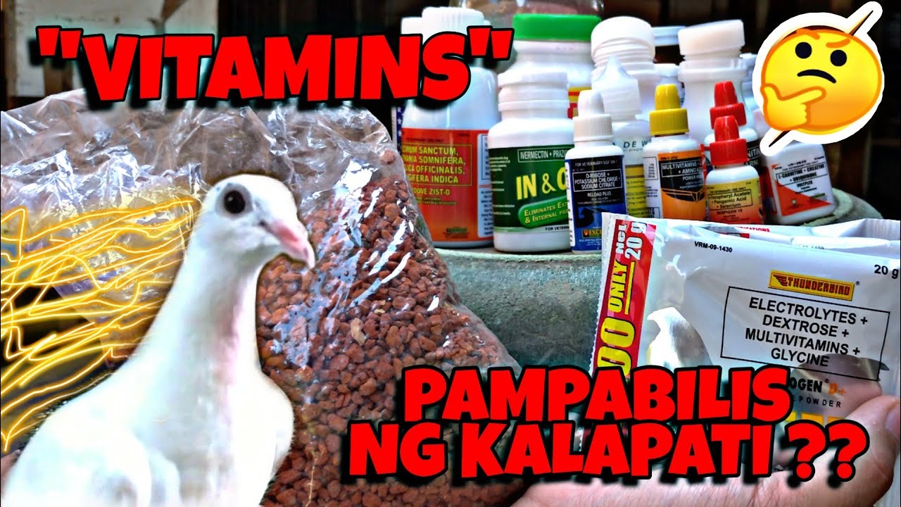 BASIC VITAMINS PARA SA KALAPATI NATIN - MURA NA EPEKTIB PA 👌👌👌