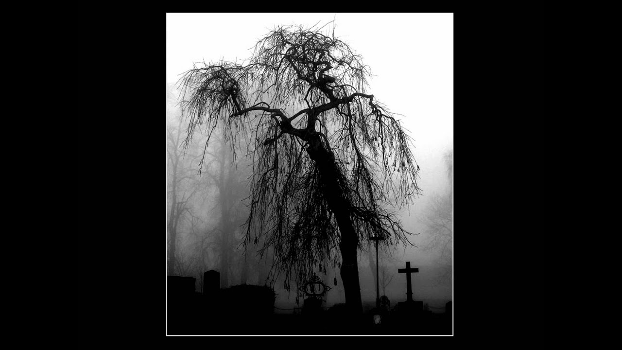 Forest of Shadows - Sleeping Death.